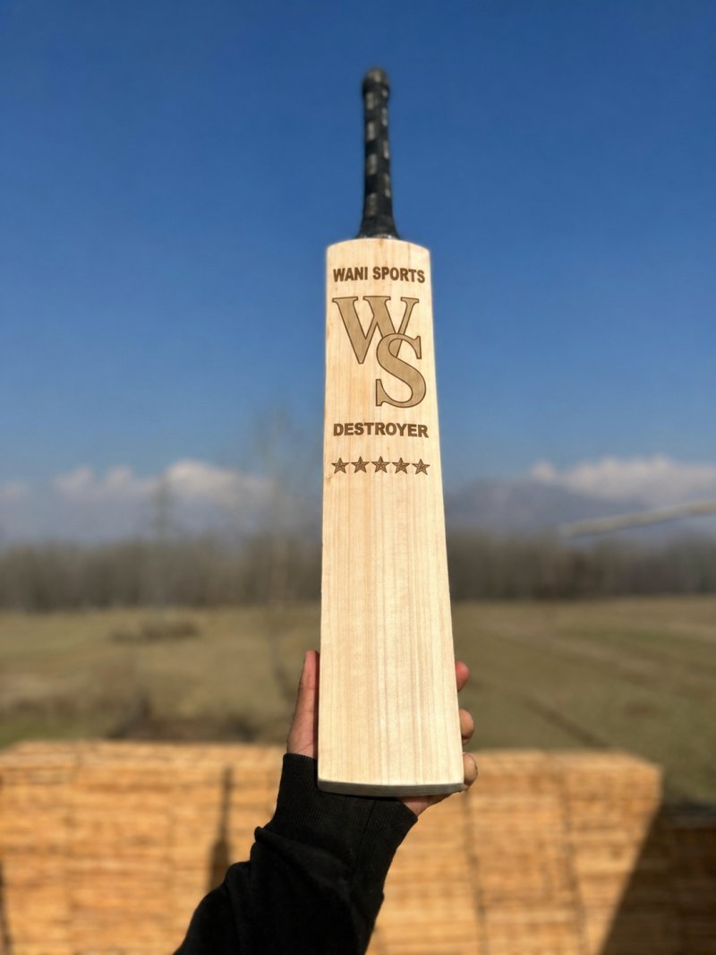 WS Destroyer Leather Bat